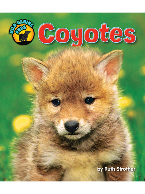 Title details for Coyotes by Ruth Strother - Available